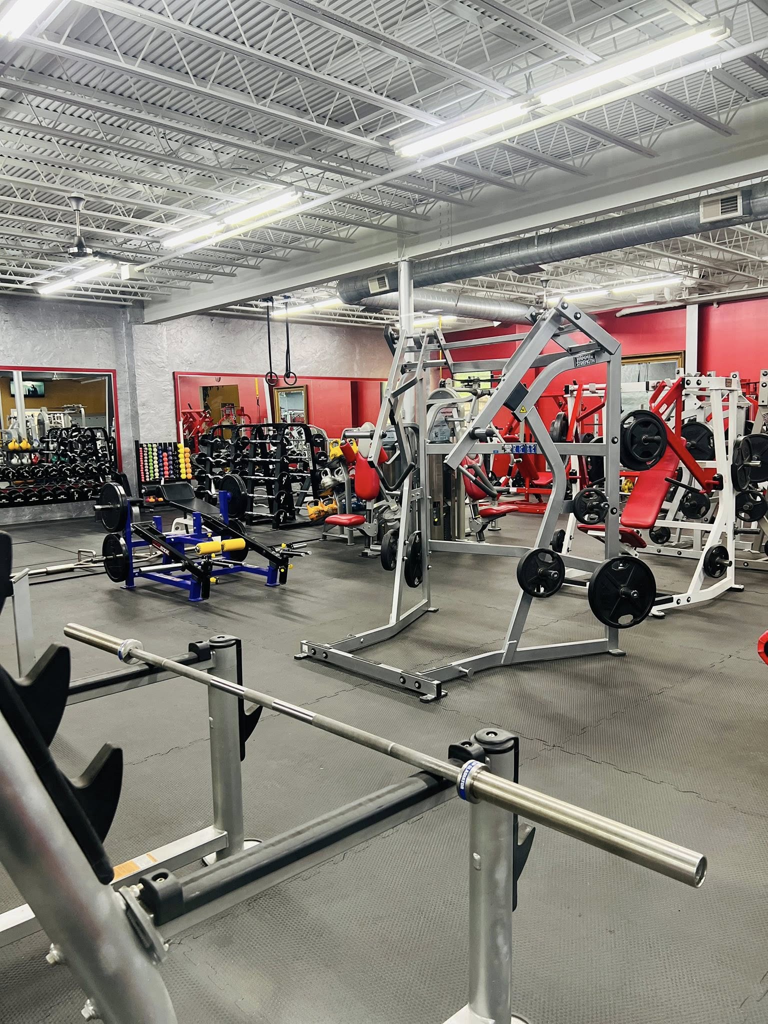 Free weights and benches